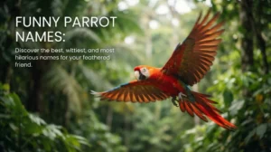 Funny Parrot Names: